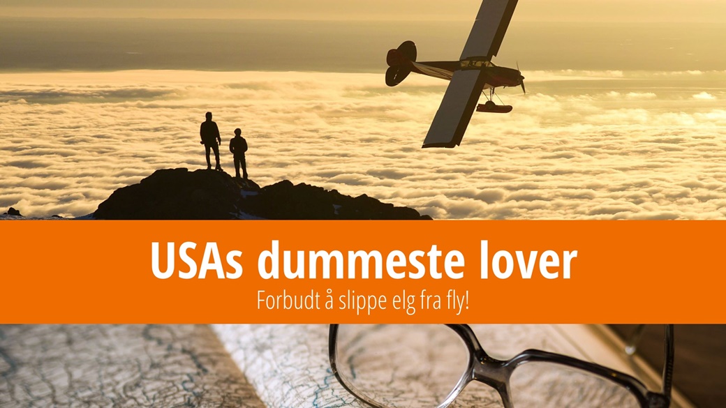 De dummeste lovene i 50 amerikanske delstater