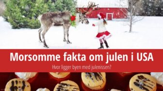 17 morsomme fakta om julen i USA