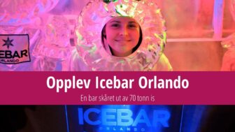 Icebar i Orlando er en bar skåret ut av 70 tonn is