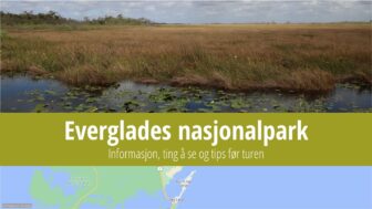 Everglades nasjonalpark – ting å gjøre, vær, camping og bilder