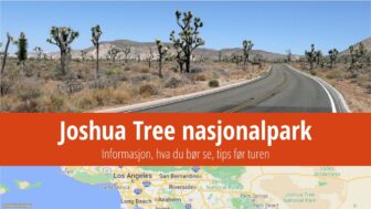 Joshua Tree nasjonalpark – ting å gjøre, vær, camping og bilder