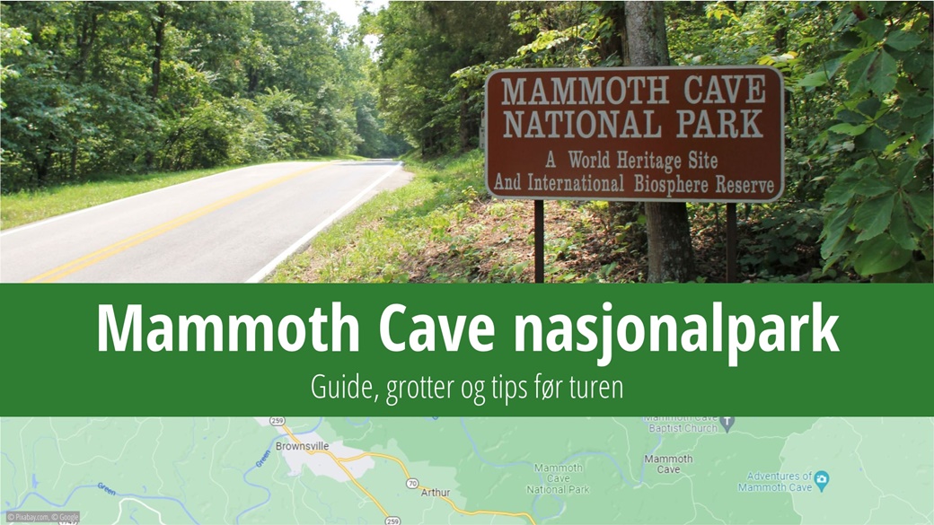 Mammoth Cave National Park | © daveynin