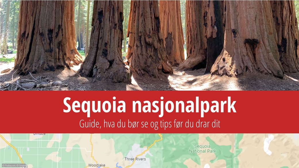 Sequoia nasjonalpark | © Pixabay