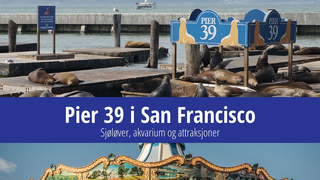 Pier 39 i San Francisco – sjøløver, akvarium og bilder | © Pixabay.com