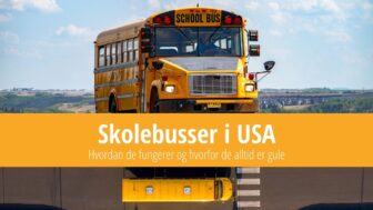 Amerikanske skolebusser – hvorfor er de gule?