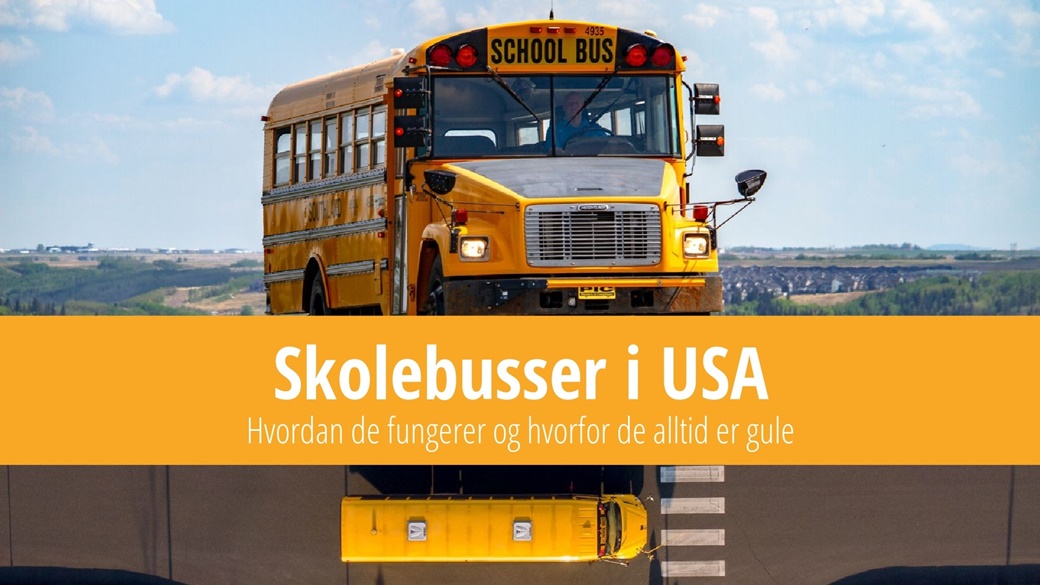 Amerikanske skolebusser – hvorfor er de gule? | © Unsplash.com